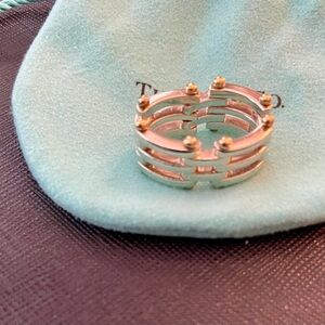 Tiffany & Co. Gate Link Sterling Silver and 18K Yellow Gold Ring